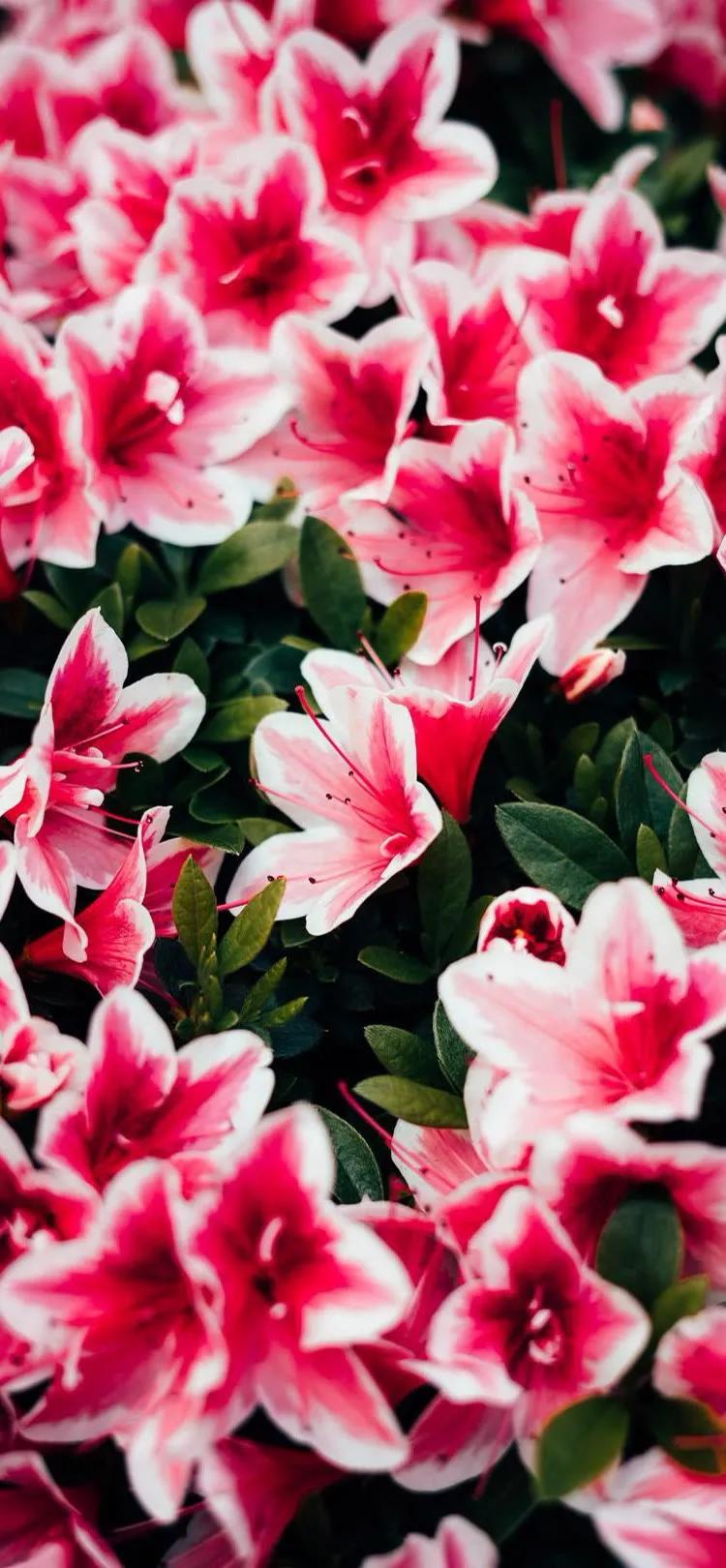 湛蓝的海水海滩风景高清壁纸,高清壁纸8k全屏无水印风景