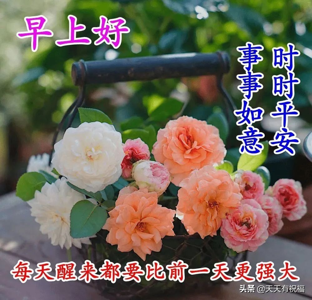 微信特好看早上好问候语表情图片,早上好微信动态表情精美图片大全