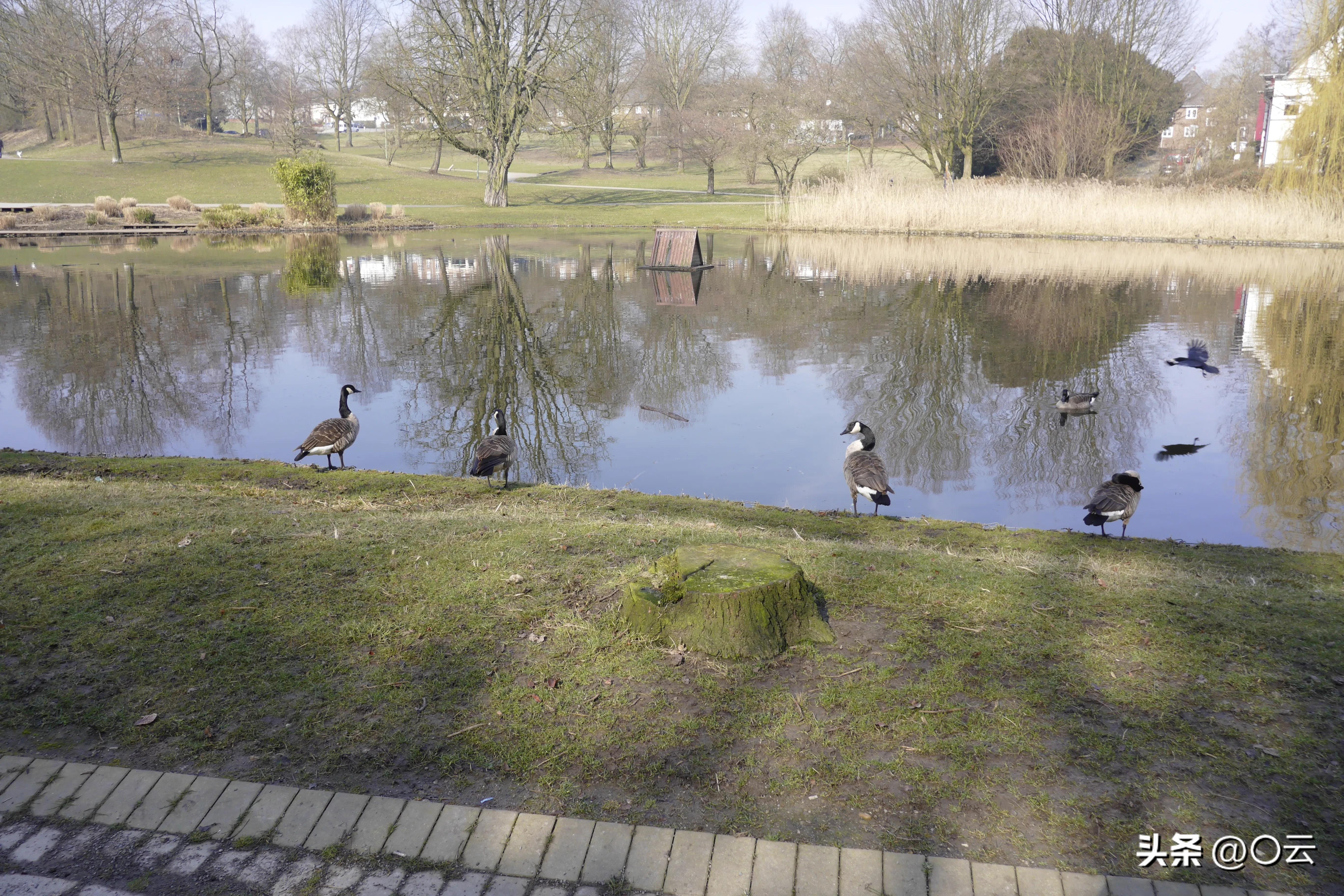 手机大底就是一个无底洞，m43就是下一个，只不过是商家的套路