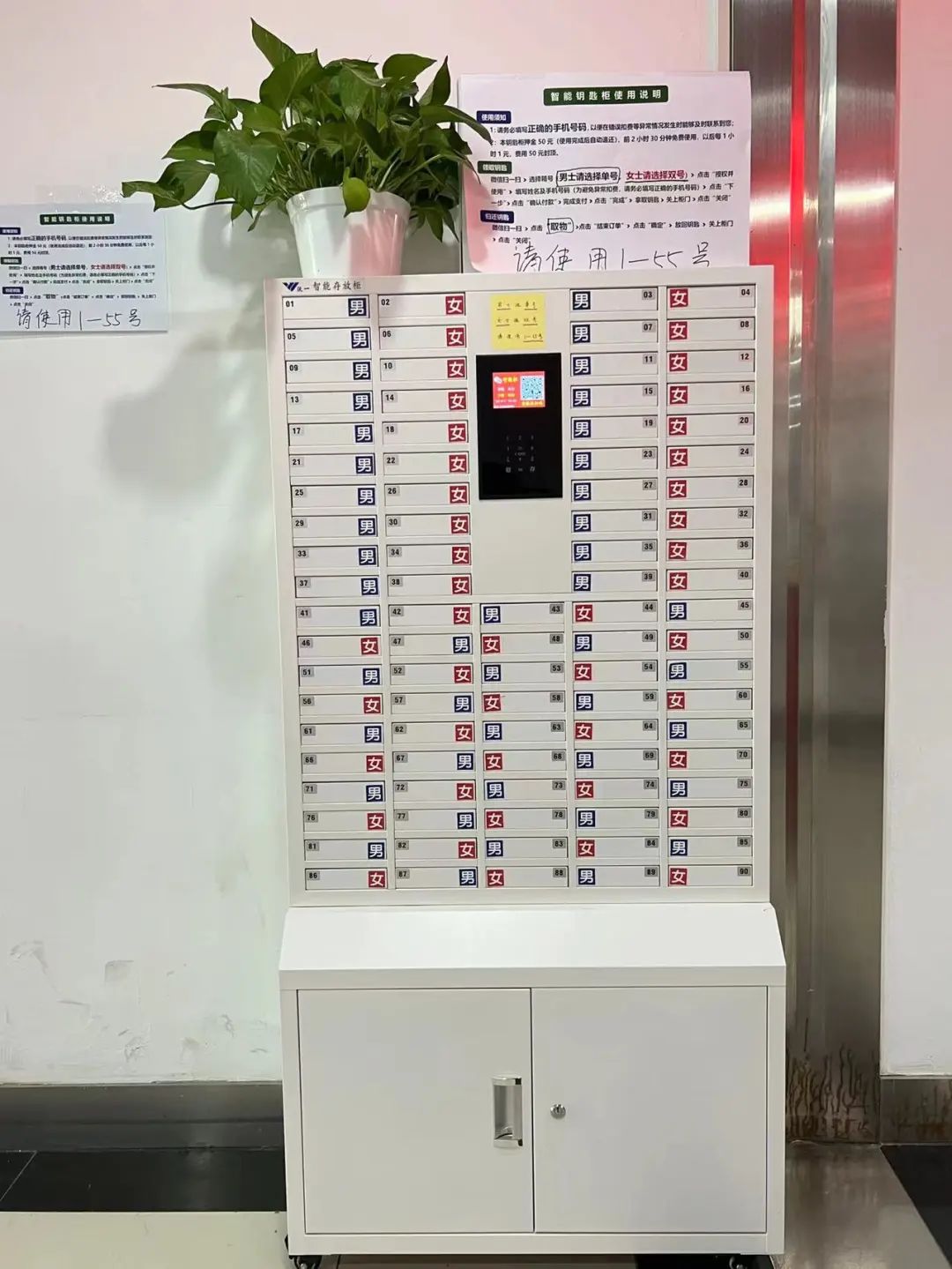 足球场改造扩建,最新足球场开放