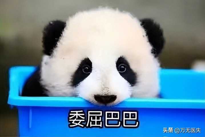 常吃冷饭降血脂吗,经常吃冷饭对人体有害吗