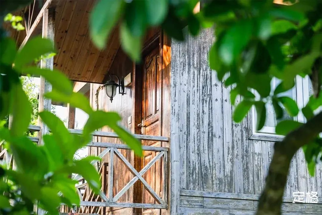 深圳10个小众打卡地免费游玩,深圳十大免费打卡地