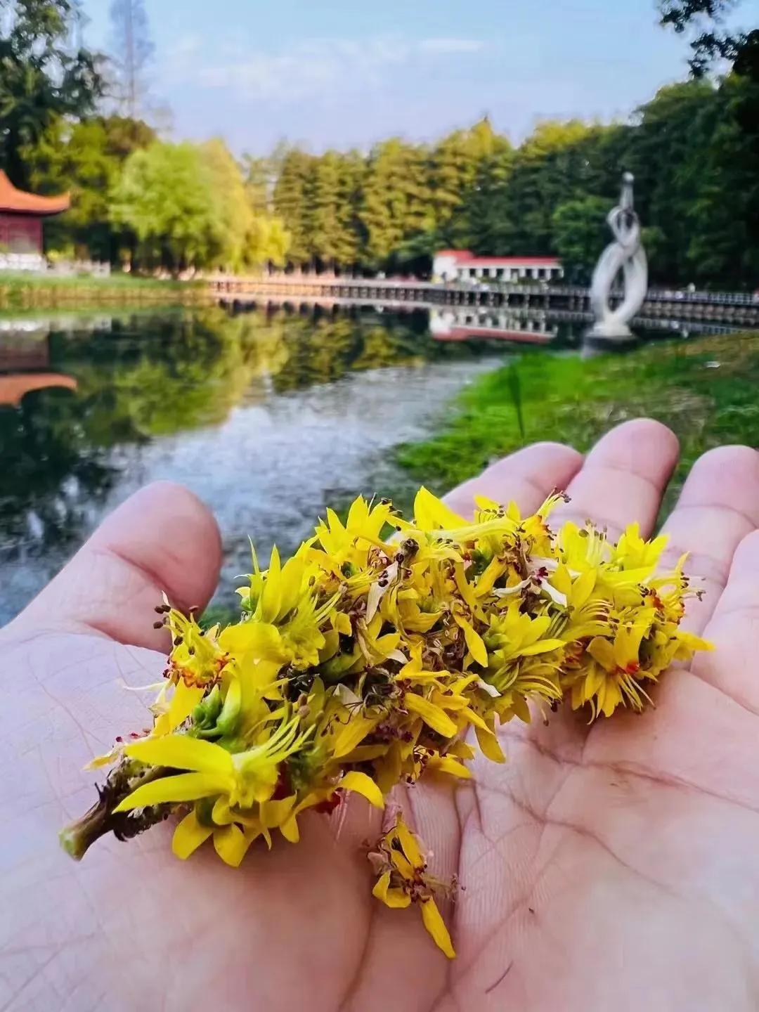 最好的投资是少看小事,好的投资标的