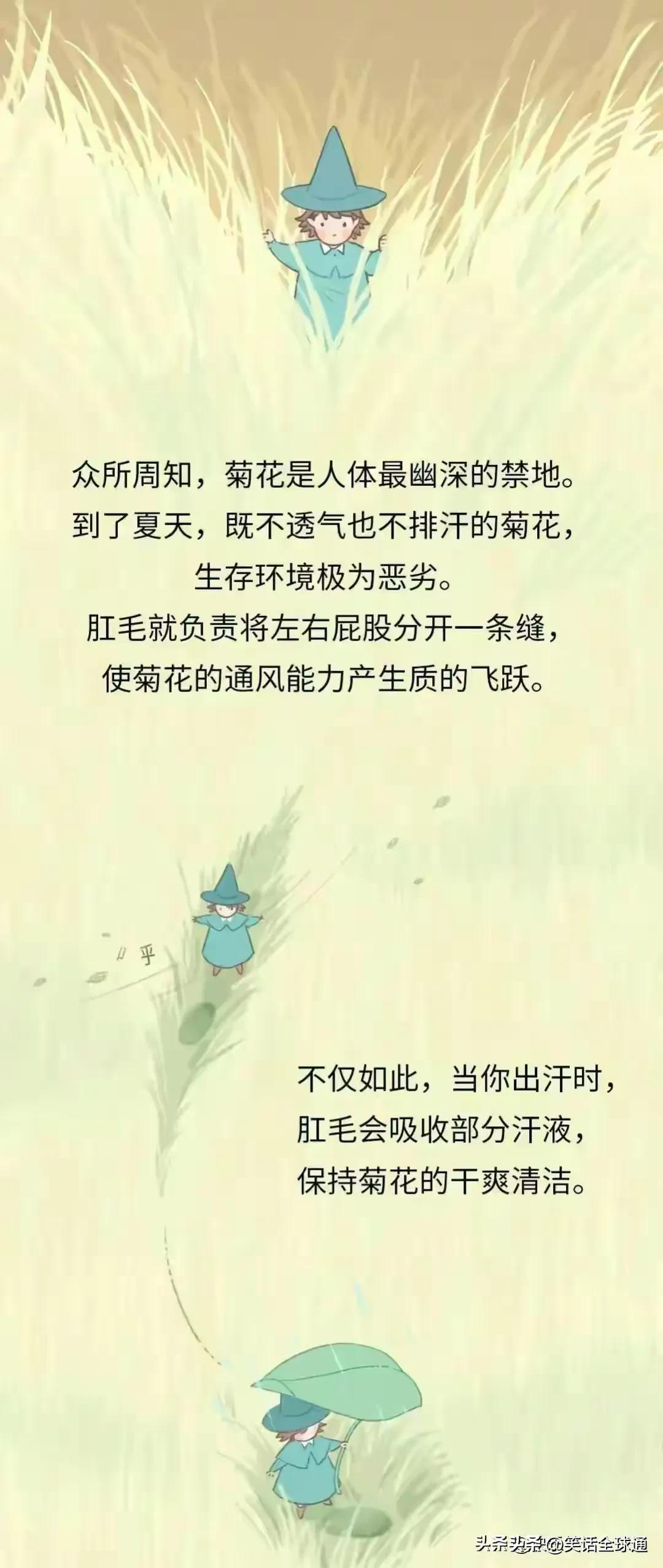 菊花毛、*处私**的毛能随便剃吗？有危害吗？