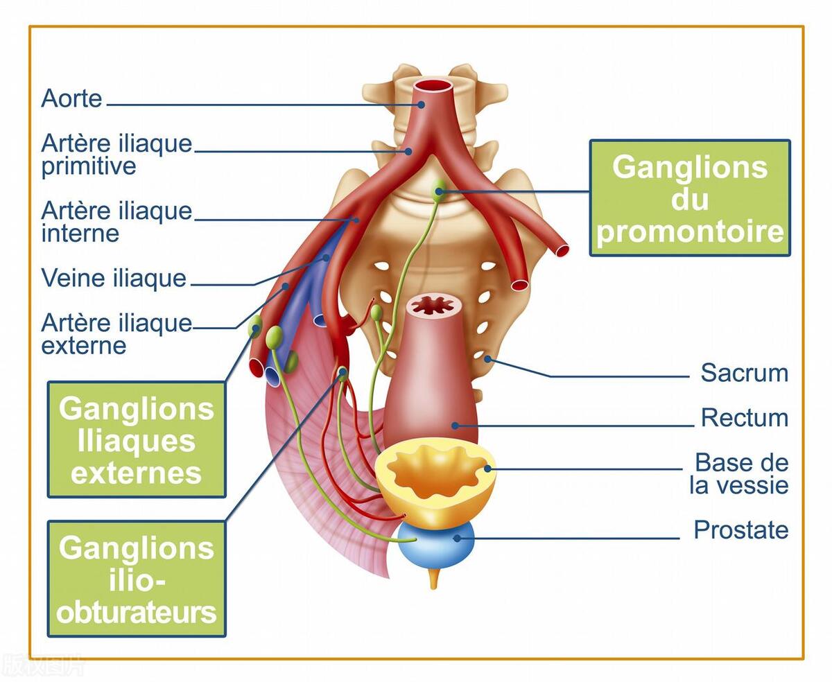 会阴部顽固性疼痛怎么办？奇神经阻滞疗法来解决！