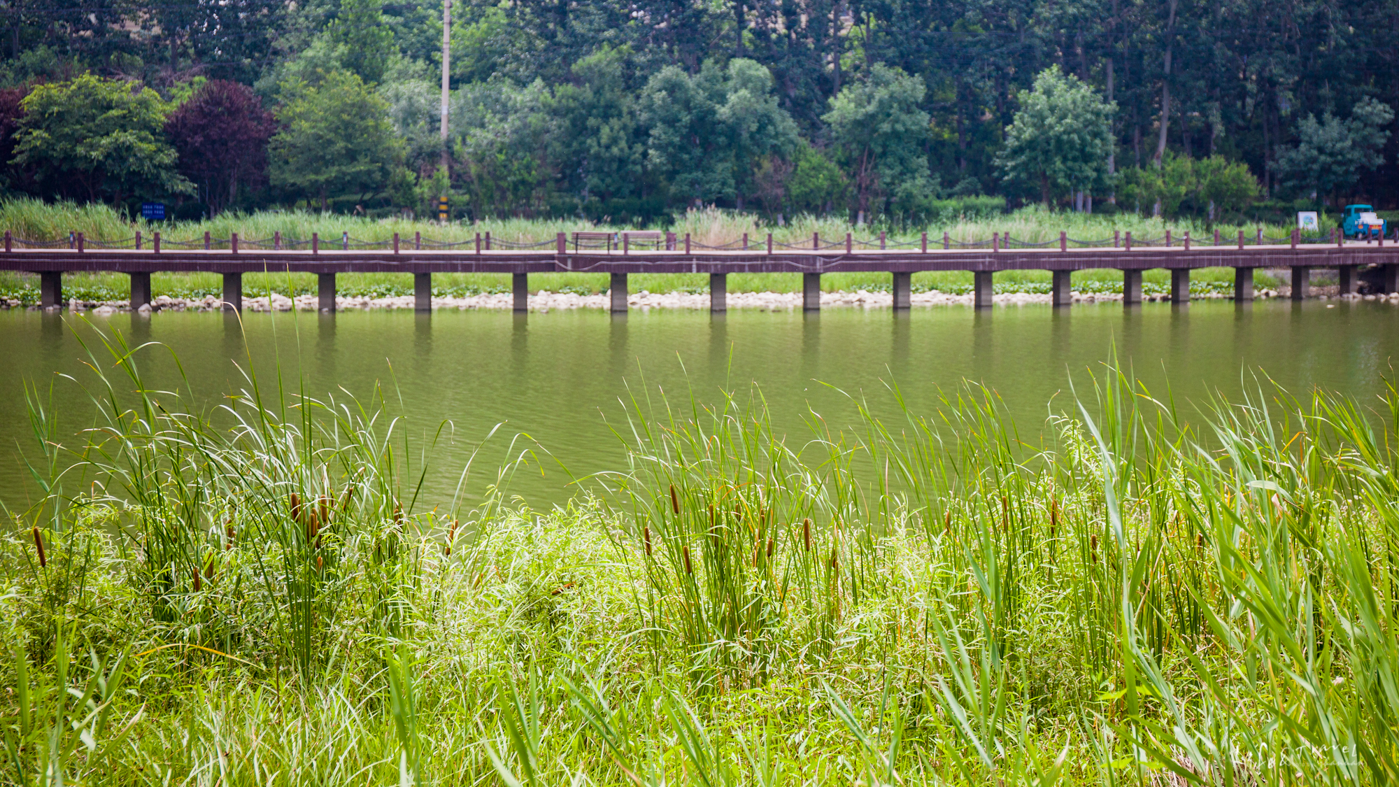 山东潍坊自驾游适合露营的地方,山东潍坊出发太行山自驾游路线