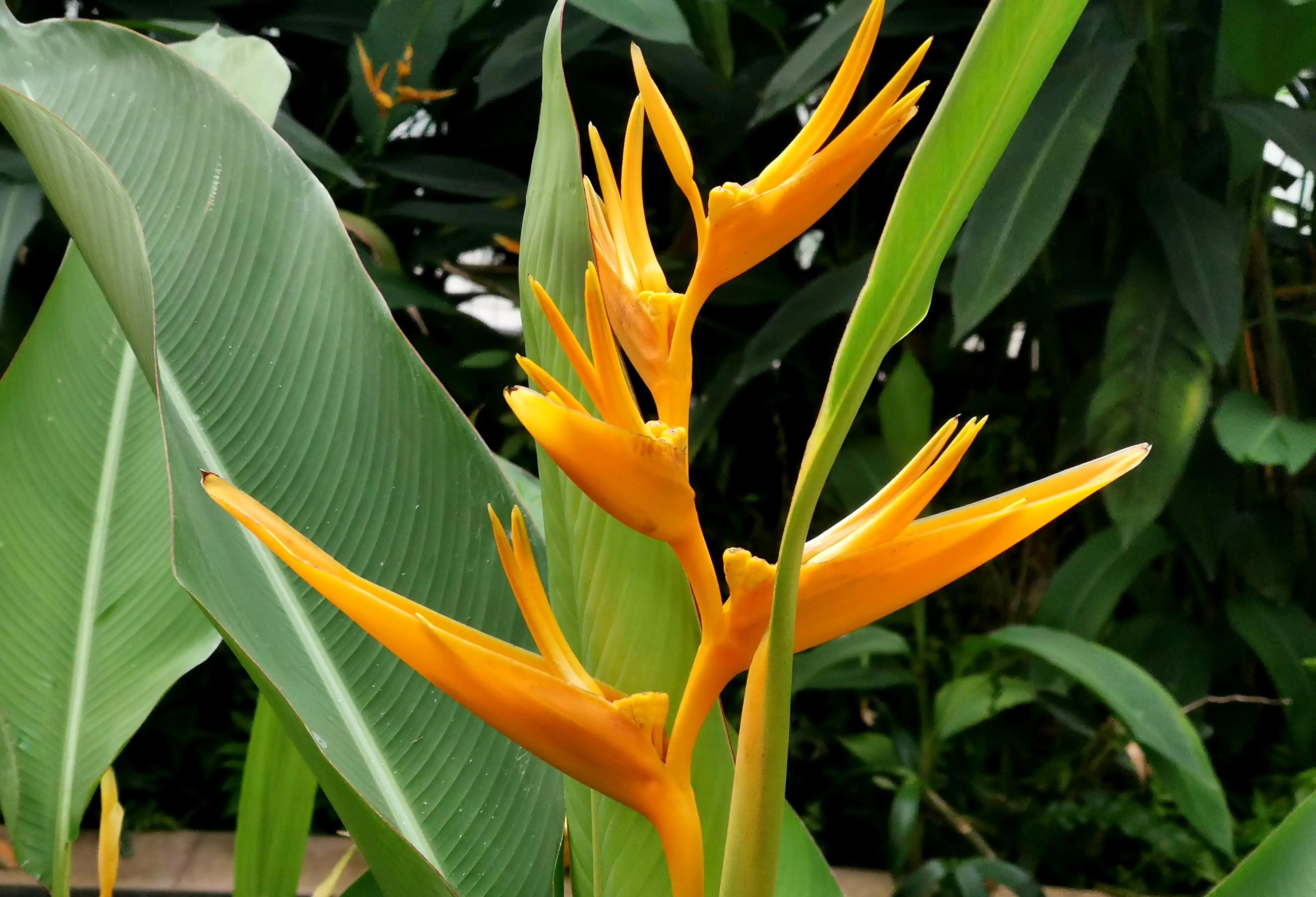 漳州市美丽的小镇,漳州长泰区旅游