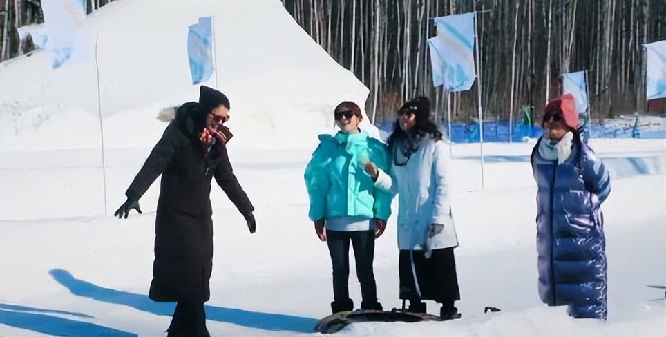 空壳太太张嘉倪,张嘉倪现状秦岚