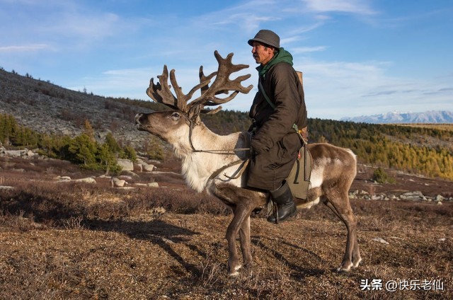 金帐汗蒙古部落好玩吗,金帐汗蒙古部落景点位于哪里