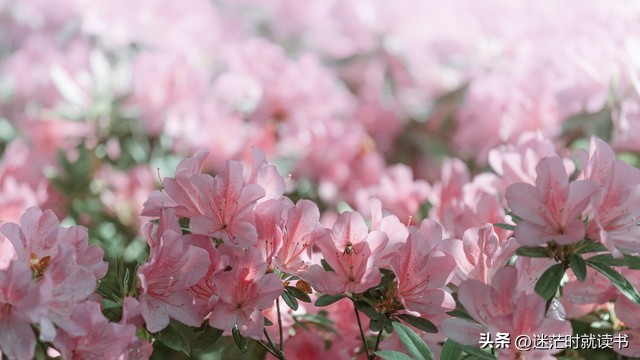 上班族日常消费行为,上班族5个赚钱技巧