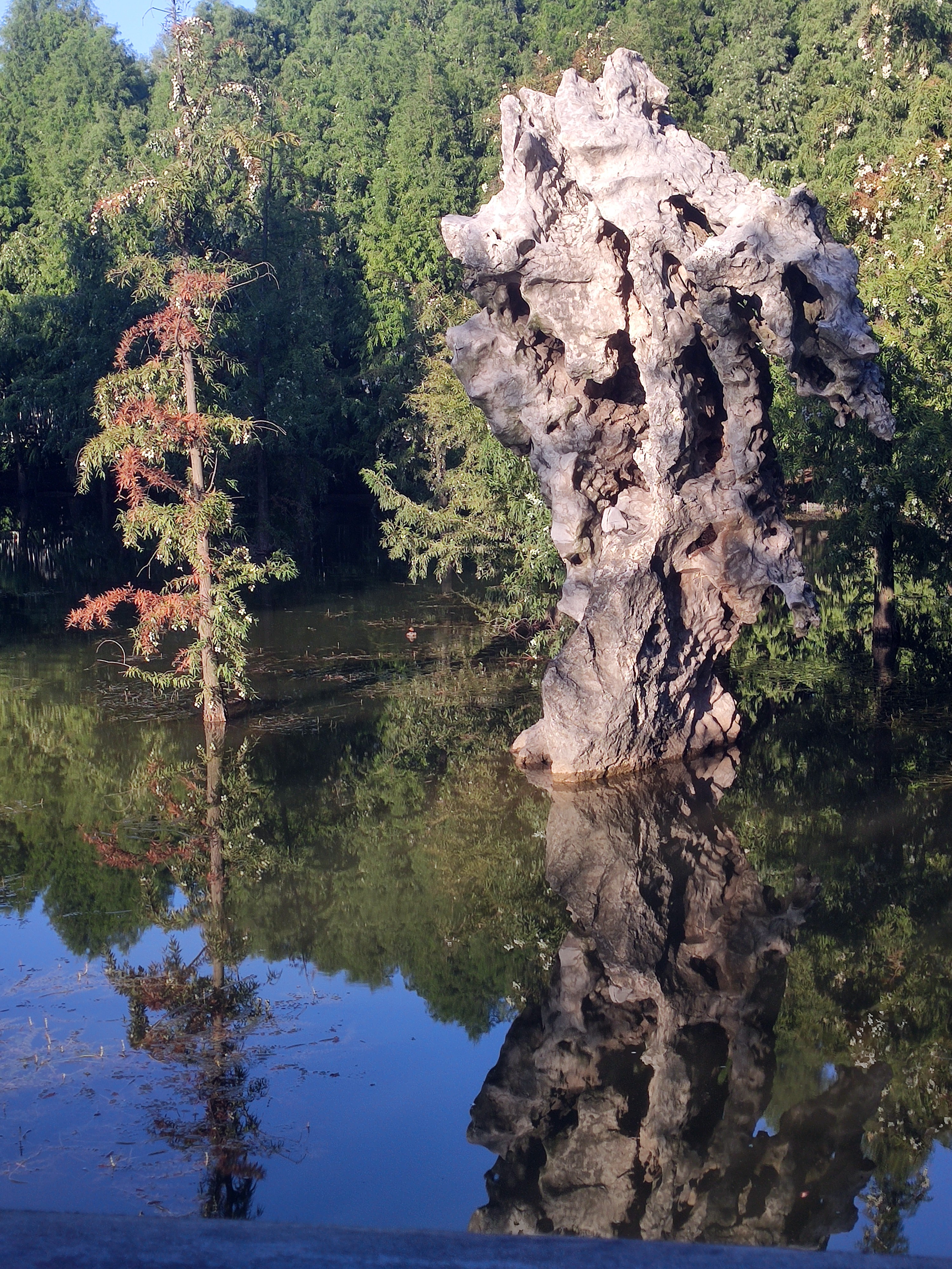 靖江周围有哪些特色旅游景点,不输5a的景区