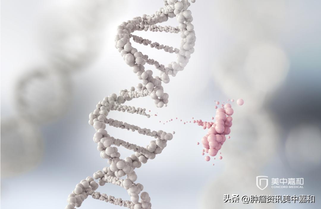 所有黑痣都有必要做病理吗,几乎每个痣都有癌变的可能