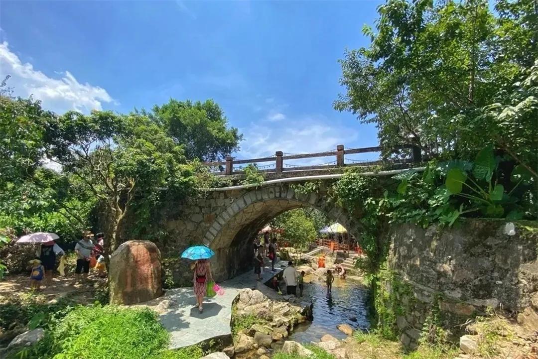 从化东成荷花园,从化摘荔枝之旅