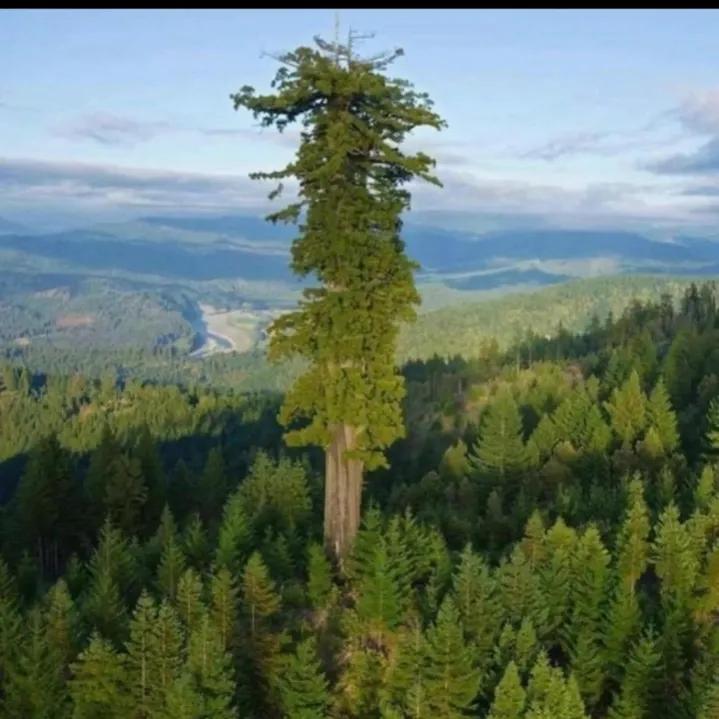 俗语“家住起高房，家衰难兴旺”，啥是起高房？盖房讲究有道理吗