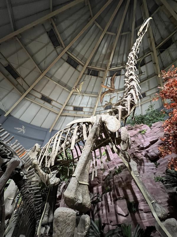 河南博物馆镇馆之宝是哪几件,河南博物馆镇馆之宝白菜蝈蝈