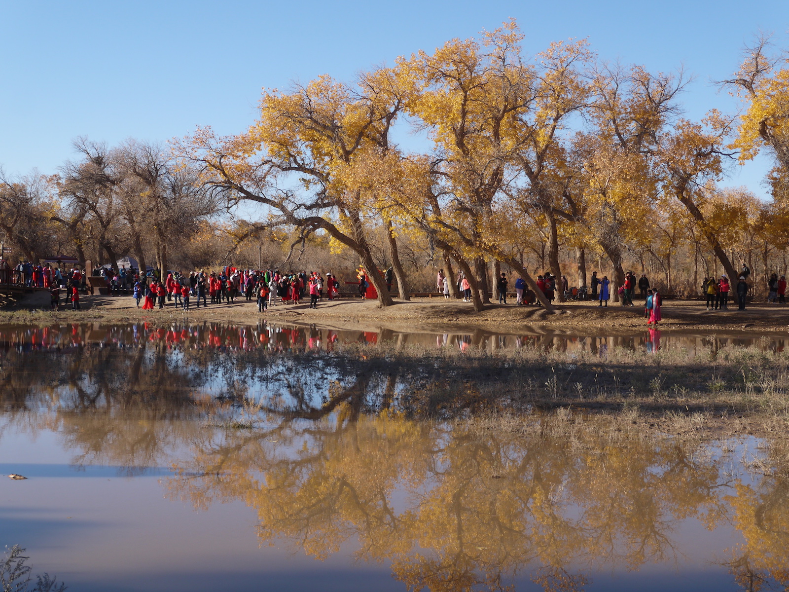 北京自驾额济纳胡杨林十天攻略,从北京到额济纳胡杨林线路