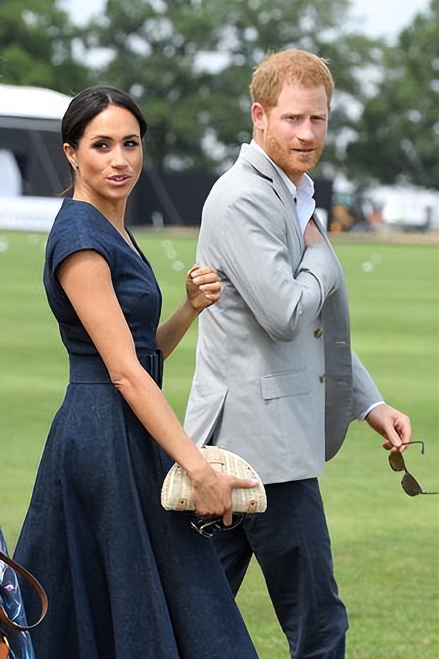 英国王室成员遭暴力,英国皇室最新事件