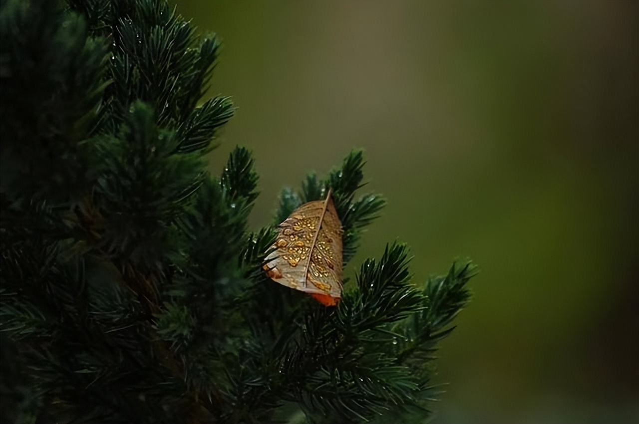 女生一定要花钱投资自己,女生一定要投资自己的6点