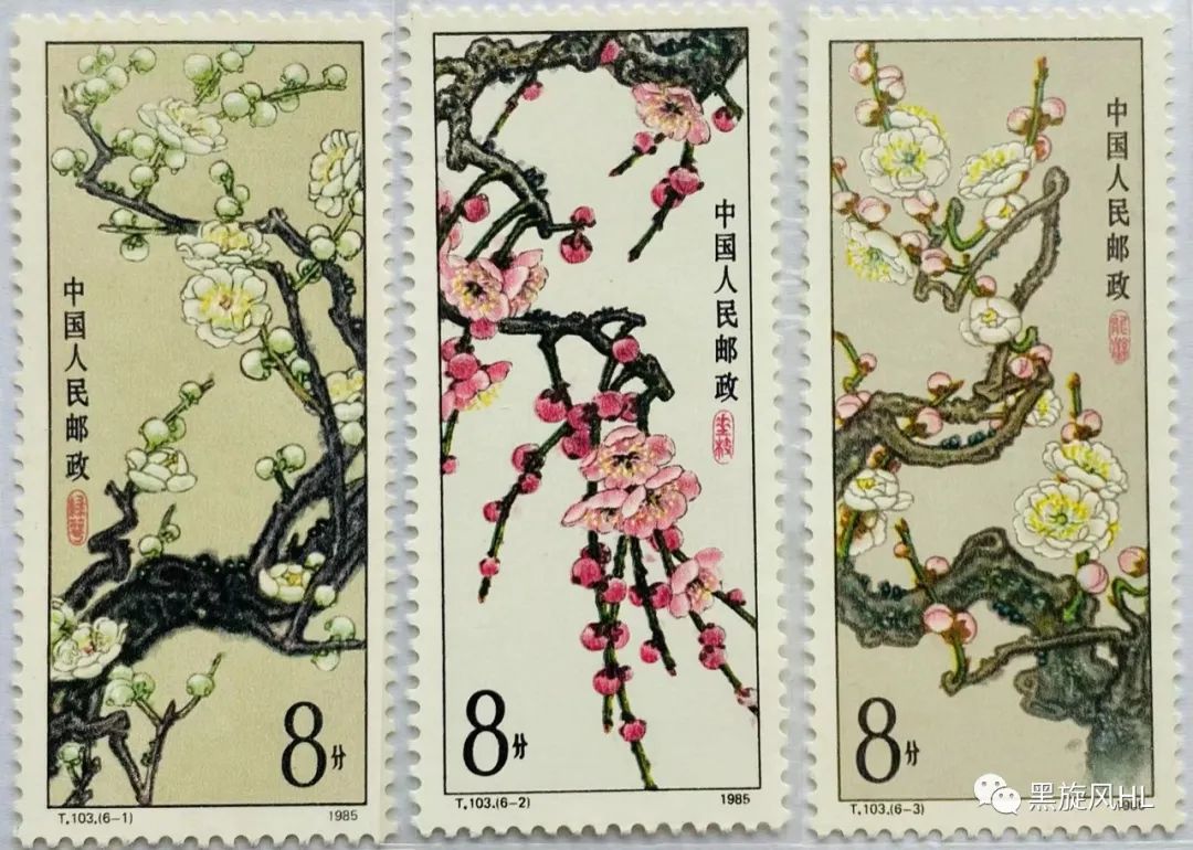 上海莘庄赏梅,新年莘庄梅园赏梅