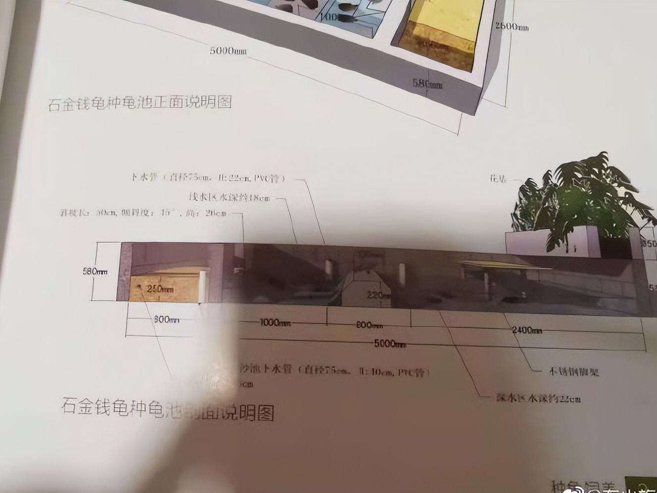 教你自己制作养龟池,自制龟池永久水循环