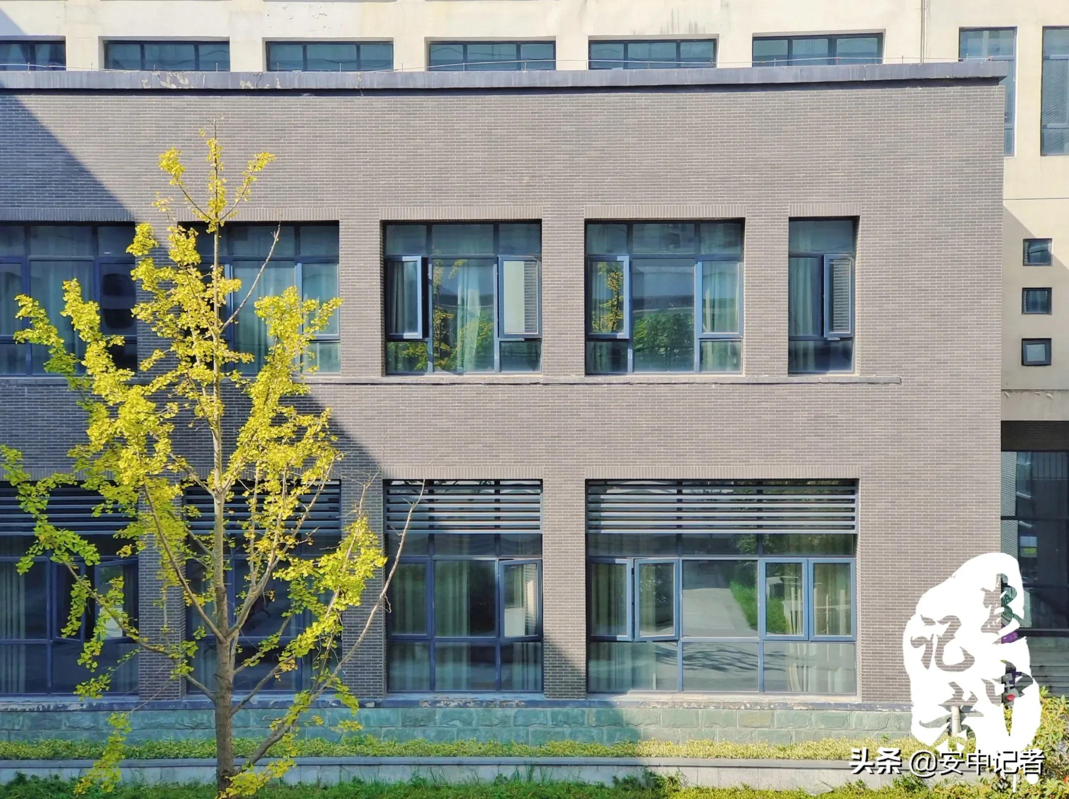 安中医的简介,安中医门诊