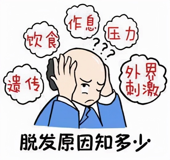 杨帆医生个人资料简介及,杨帆医生重庆