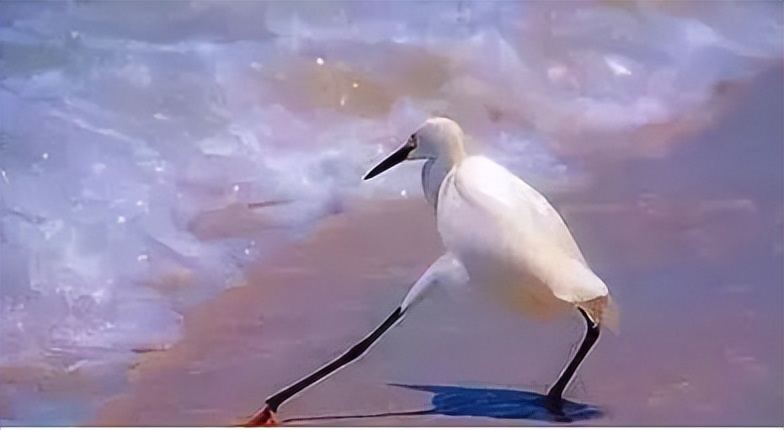 杀疯了，网贷也玩起了直播带货？