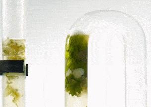 卫生间有臭味怎么解决最有效,卫生间有异味的处理方法