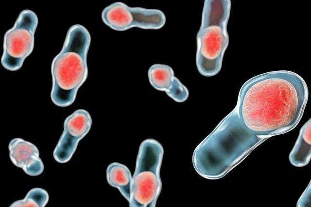 男子发高烧被诊断,男子高烧住院因治疗无效宣布死亡