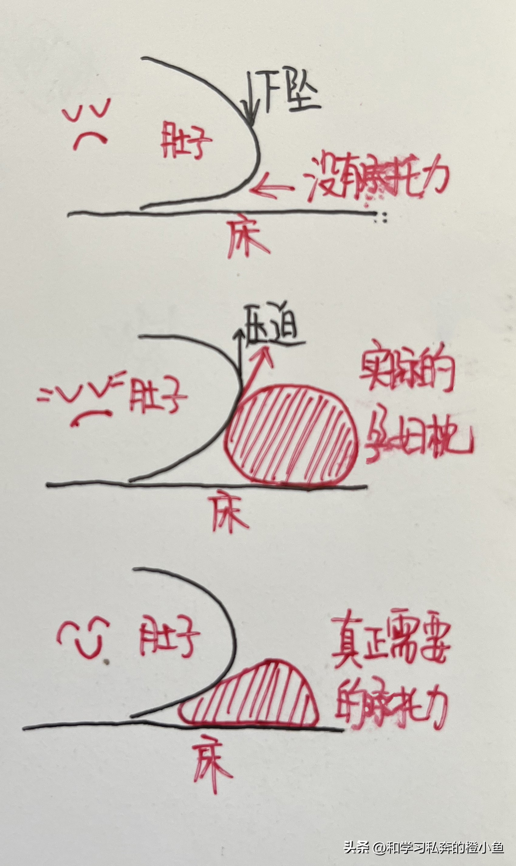 孕期记录32周小孕妇,31周的胎儿日常生活