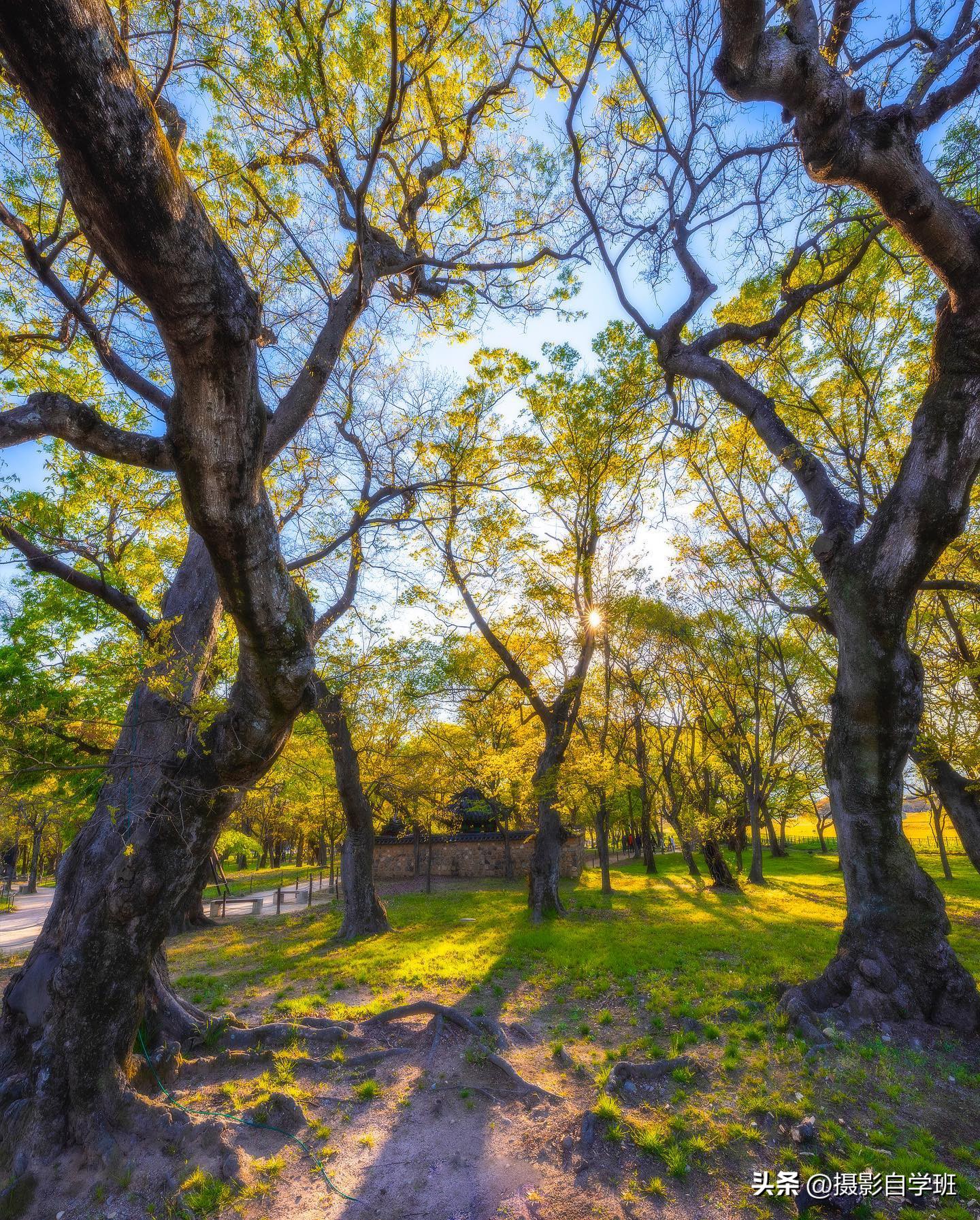 夏天怎么拍照更有夏天感觉,如何拍好夏天的照片