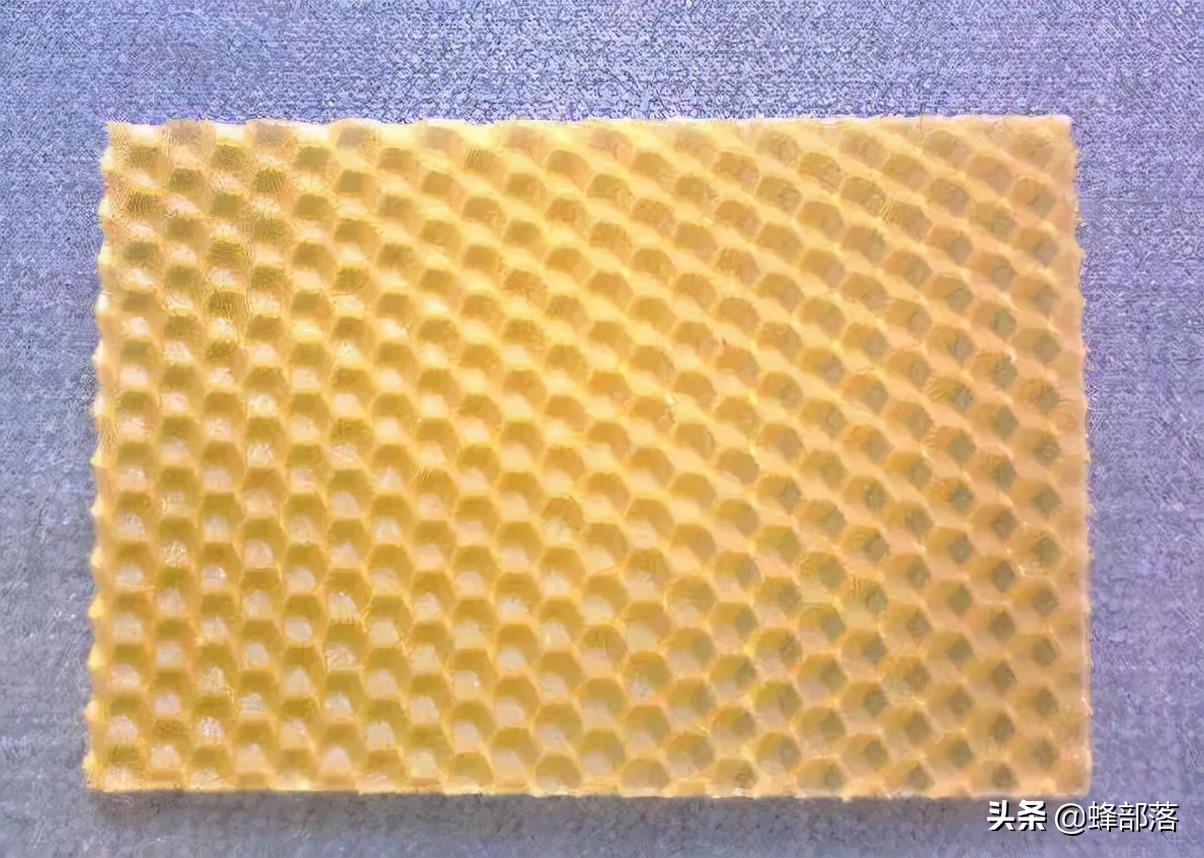 养蜂人蜂蜜产量,养蜂人新发明