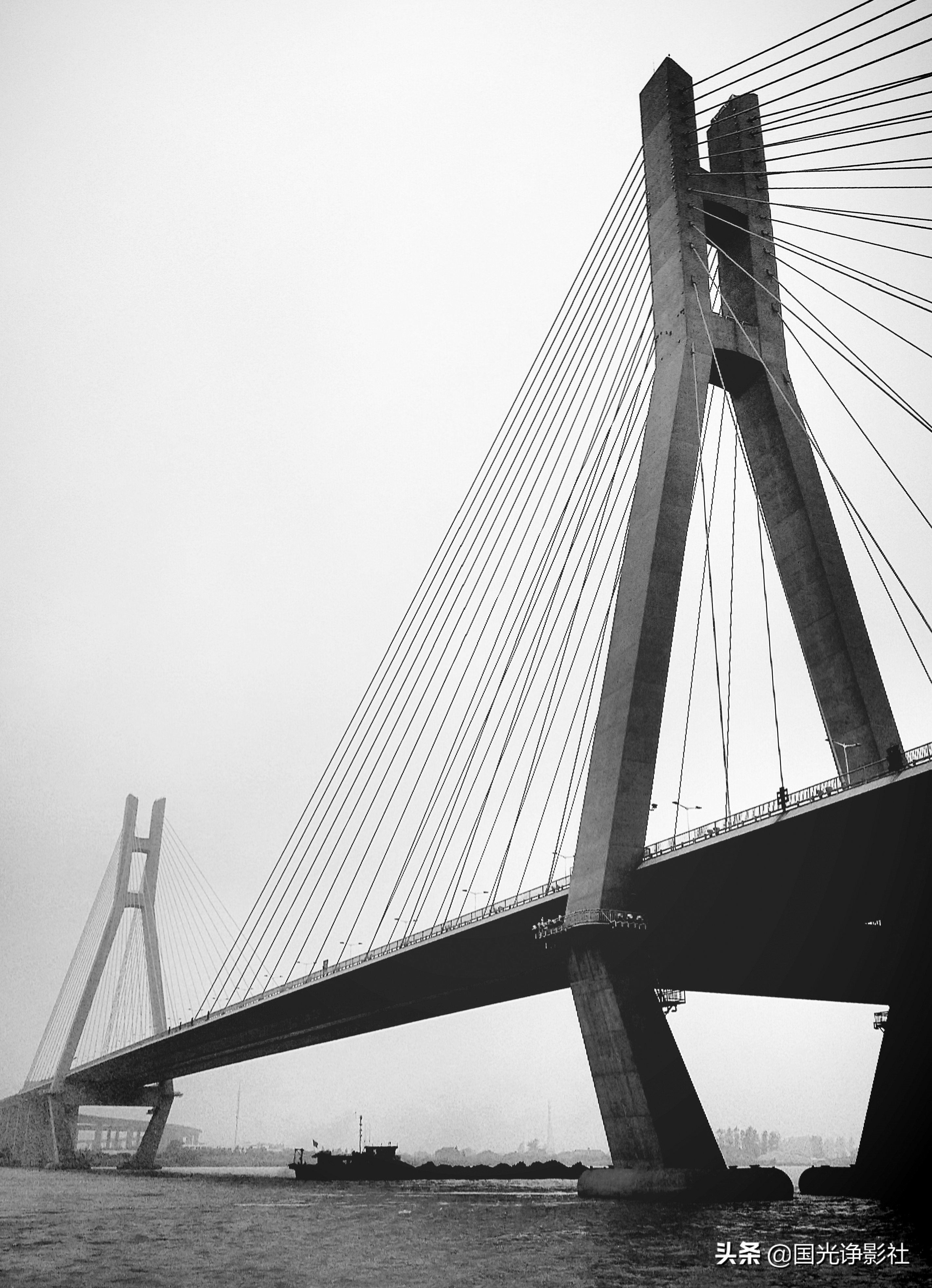 长江生态大保护的理由,长江大保护最美的底色