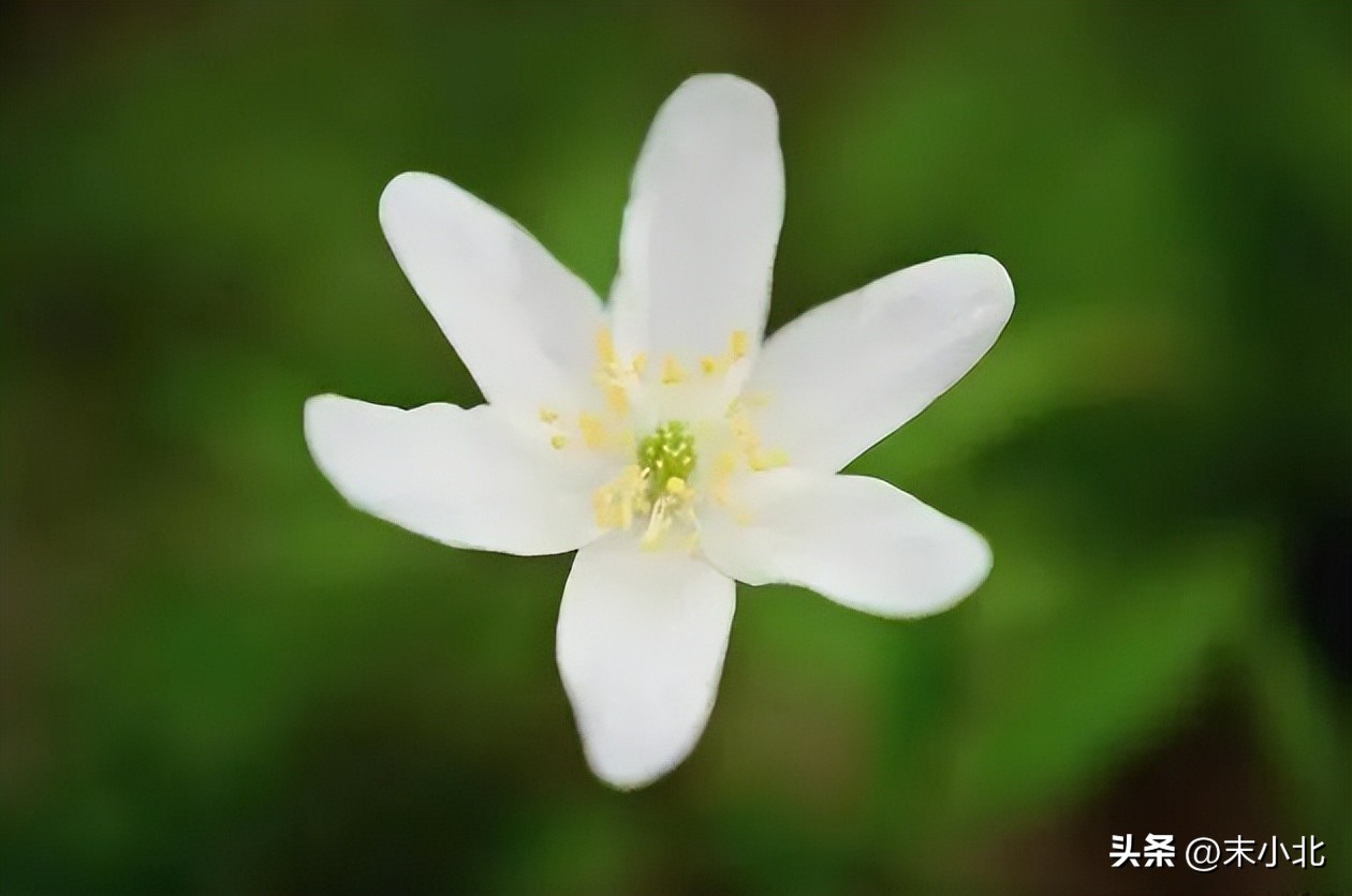 孤僻不愿意交流的人,一个人不想跟人说话是什么情况