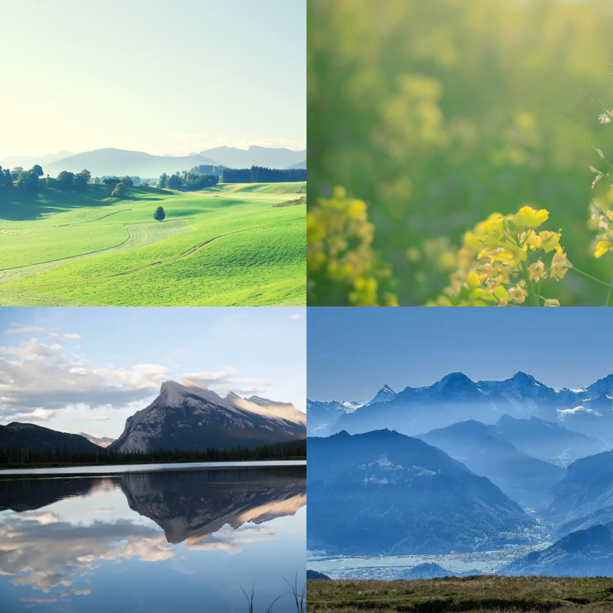 如何将几张照片拼成一张短图片,怎么把四张照片拼成一张图