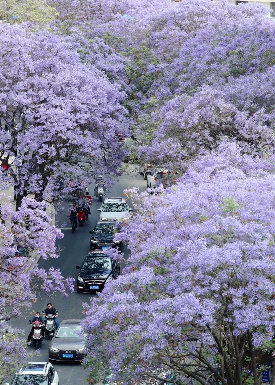 有一种生活叫云南的怒江,有一种生活叫云南生活发布会图片
