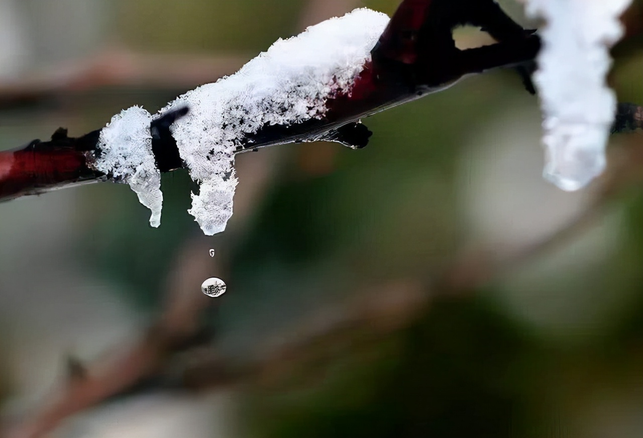 说文解字部首讲解1500字,说文解字540部首诵读视频