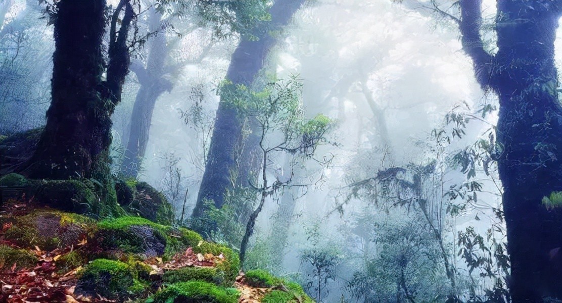 古代军队死伤率,古代军队征战云南