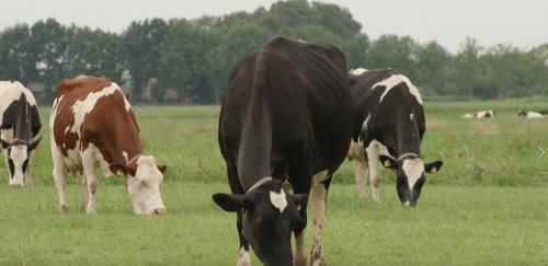 海普诺凯1897奶粉怎么样5A名贵食品,呵护宝宝健康成长