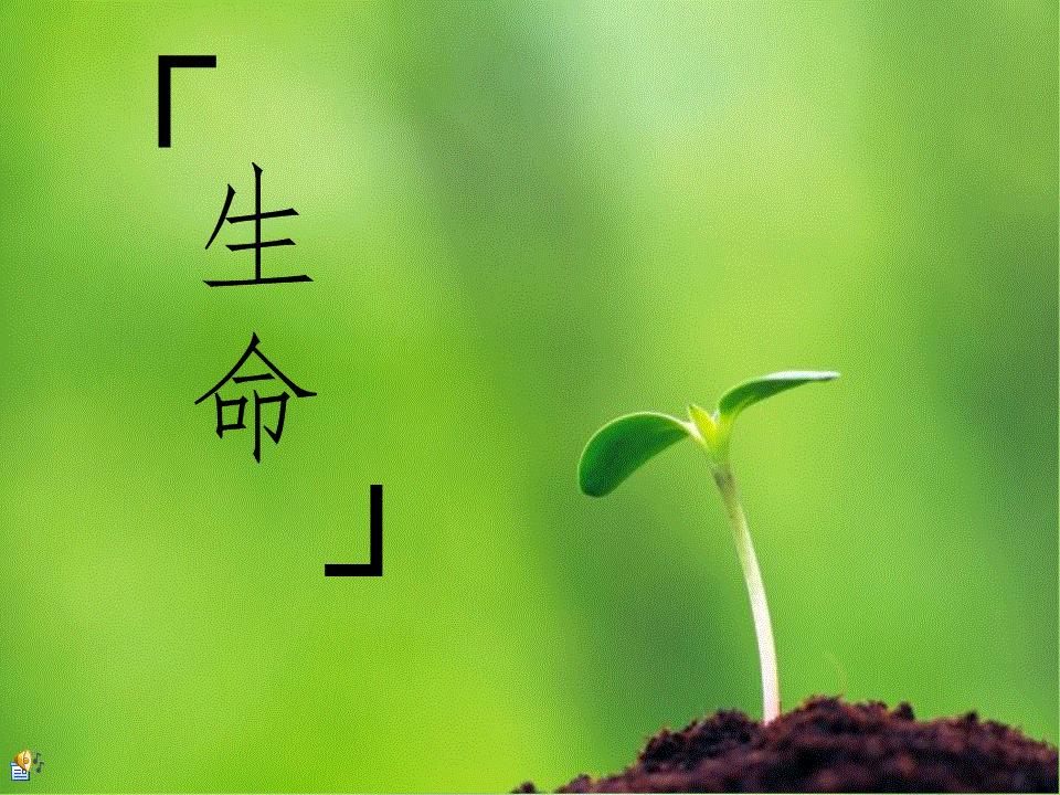 生命的节奏完整版,生命的节奏经典