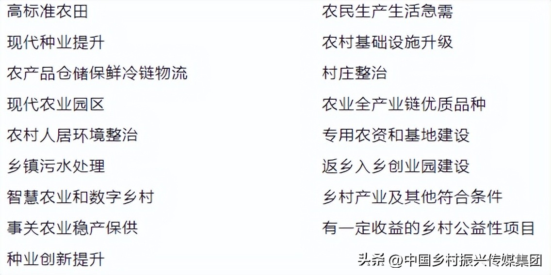 政府扶持乡村振兴的项目有哪些,2024乡村振兴政府补贴重点项目