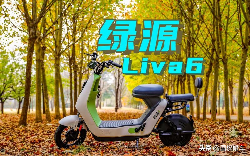 电动车品牌雅迪和爱玛怎么选,电动车品牌雅迪和爱玛选哪个更好