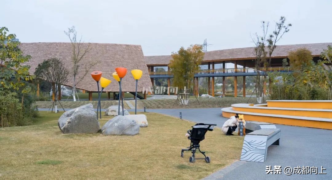 马家寺交通拥堵,双流马家寺现状