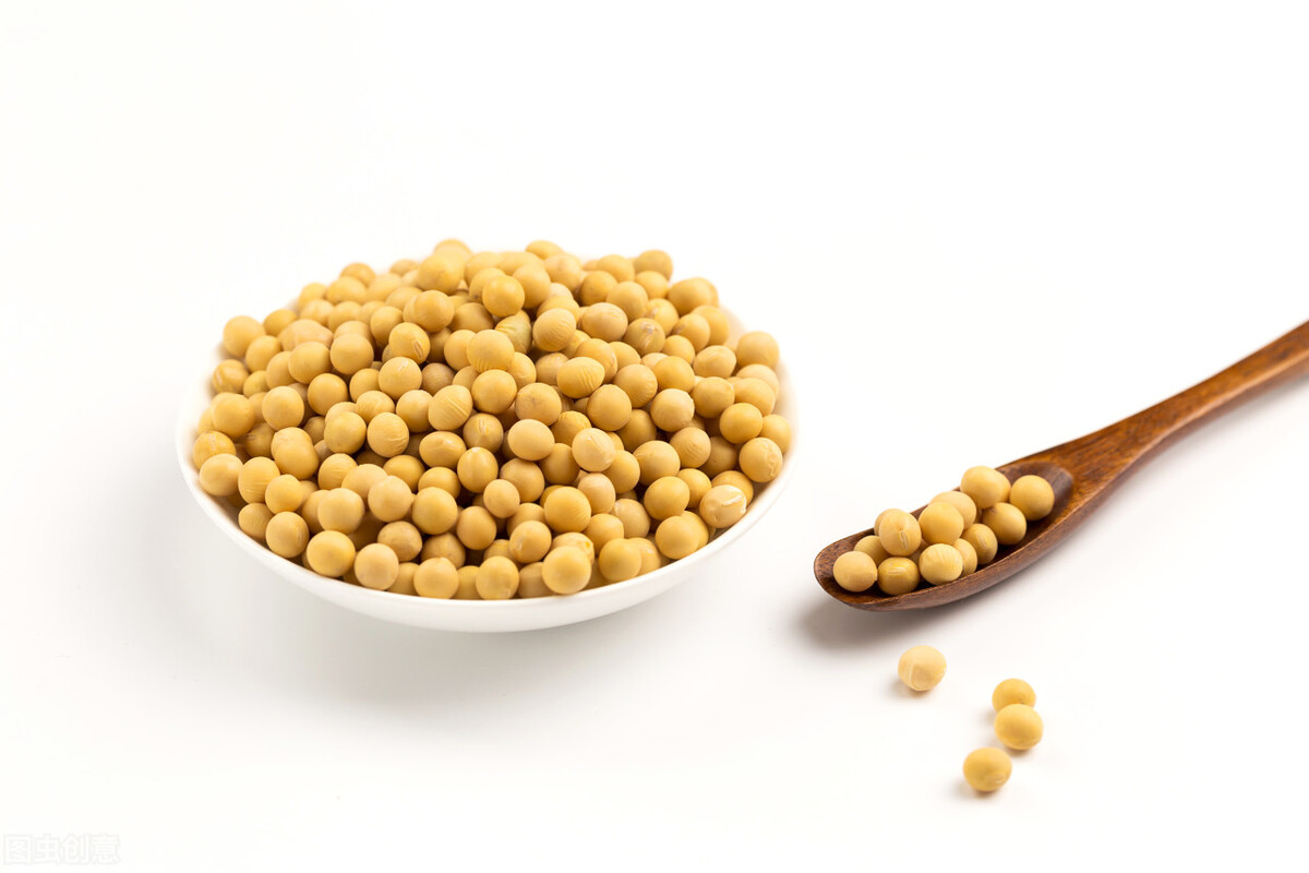 饲料鱼和粮食鱼谁优谁劣？——简析改善养殖鱼的肉质和味道