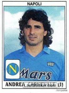 江湖夜雨十年灯-意甲89-90赛季射手榜前20现今状态