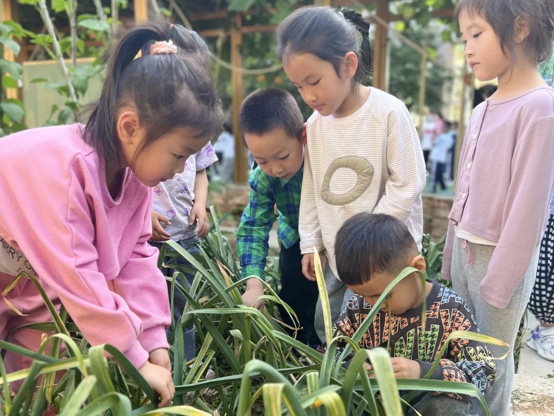 倾听儿童相伴成长主题墙幼儿园,倾听儿童相伴成长幼儿园小班视频