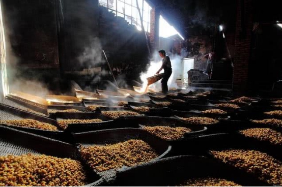 梦之蓝算十大名酒,中国十大名酒梦之蓝