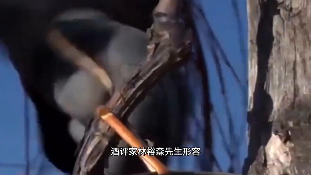 拉图洛弗是拉图酒庄的吗,拉图酒庄和拉图庄园