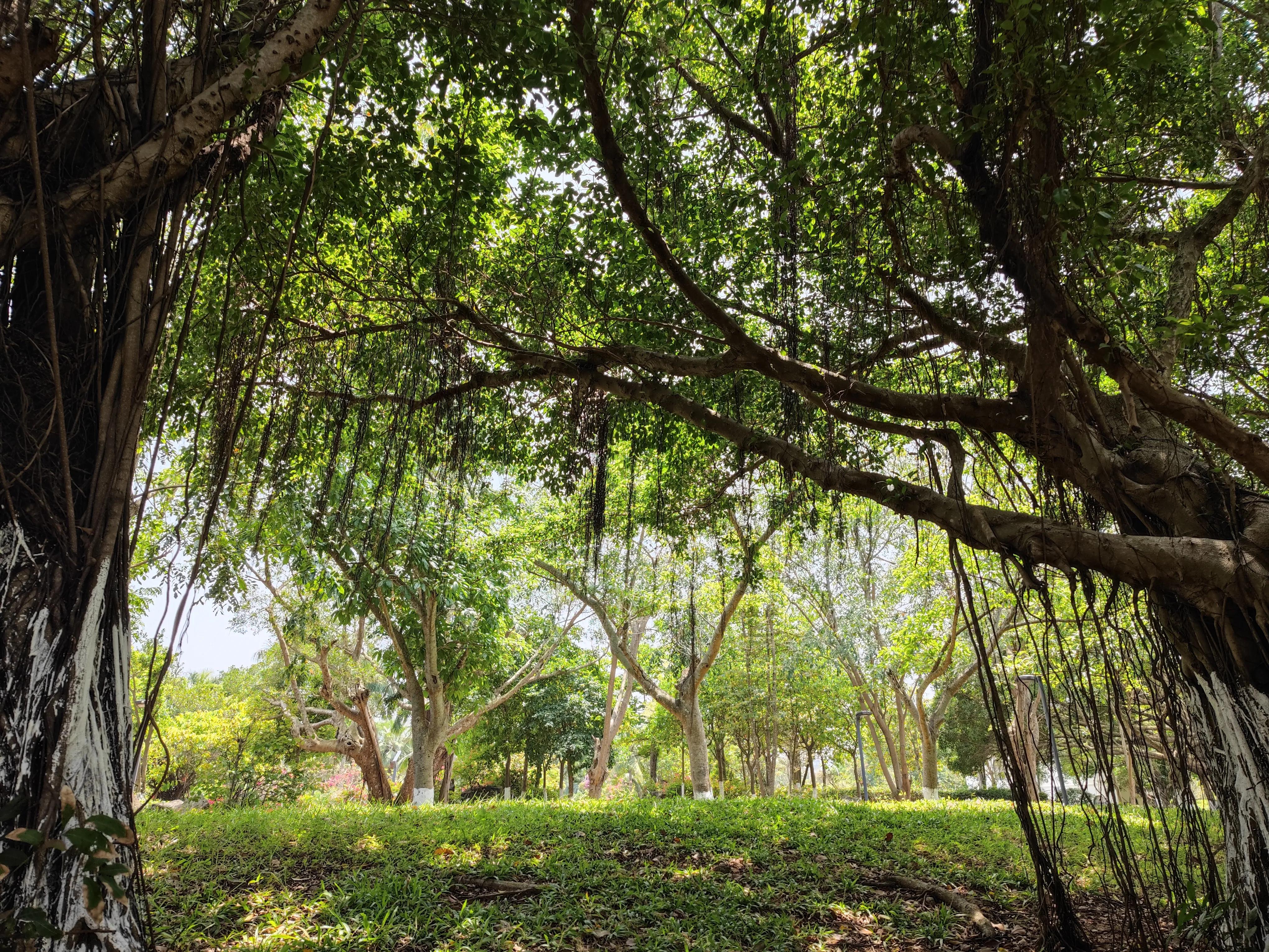 国产拍照最好的手机2022,最值得入手的拍照手机推荐