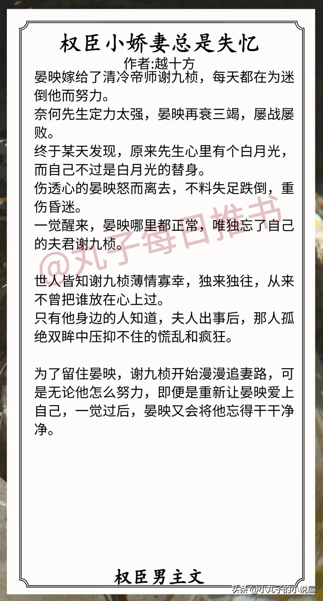 权臣男主文推荐,小说推荐权臣男主